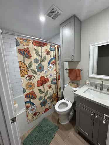 Seeking a roommate!