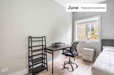 5 BR in Chicago