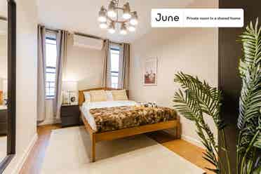 3 BR in New York City