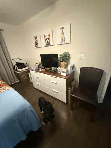 Master with en-suite College Park