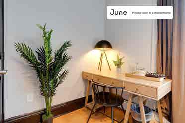 4 BR in Boston