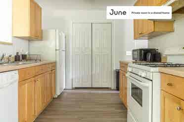 3 BR in Austin