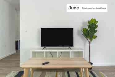 3 BR in Austin