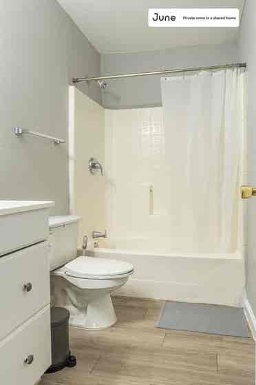 3 BR in Austin