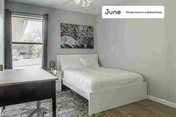 3 BR in Austin