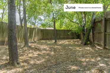 3 BR in Austin