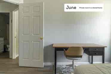 3 BR in Austin