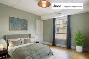 7 BR in Boston