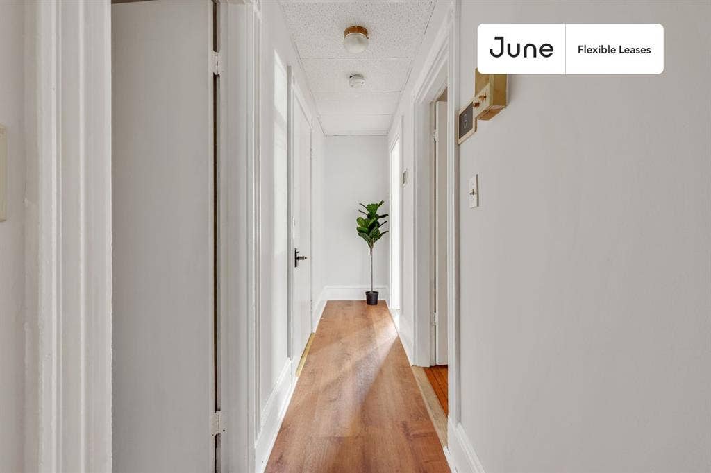 3 BR in Boston