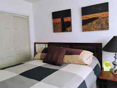 Looking for a Mature Male Roommate