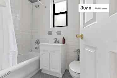 1 BR in New York City