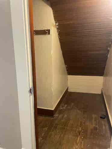 Looking for friendly roommates