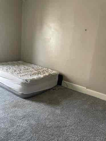 Looking for friendly roommates