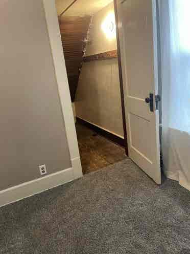 Looking for friendly roommates