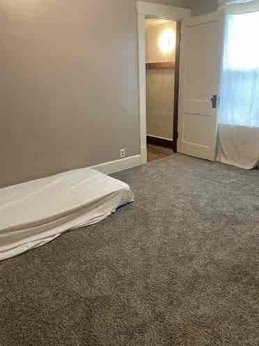 Looking for friendly roommates