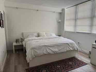 Brickell room for rent $