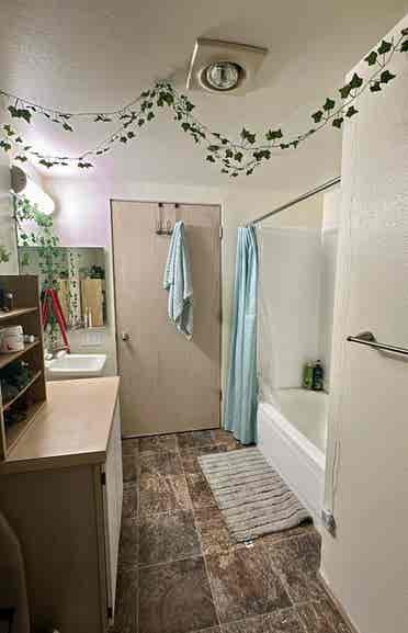 Summer Sublet at the U Apartments