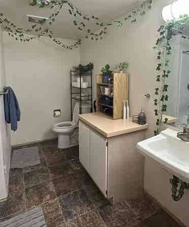 Summer Sublet at the U Apartments
