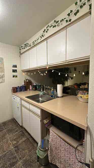 Summer Sublet at the U Apartments