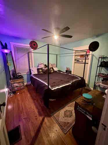 Roomate needed