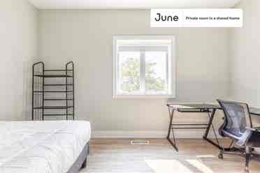 5 BR in Chicago