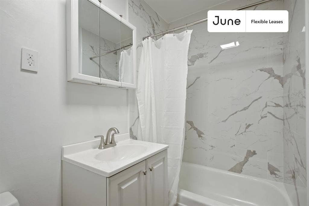 1 BR in New York City