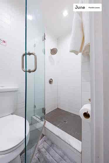 1 BR in New York City