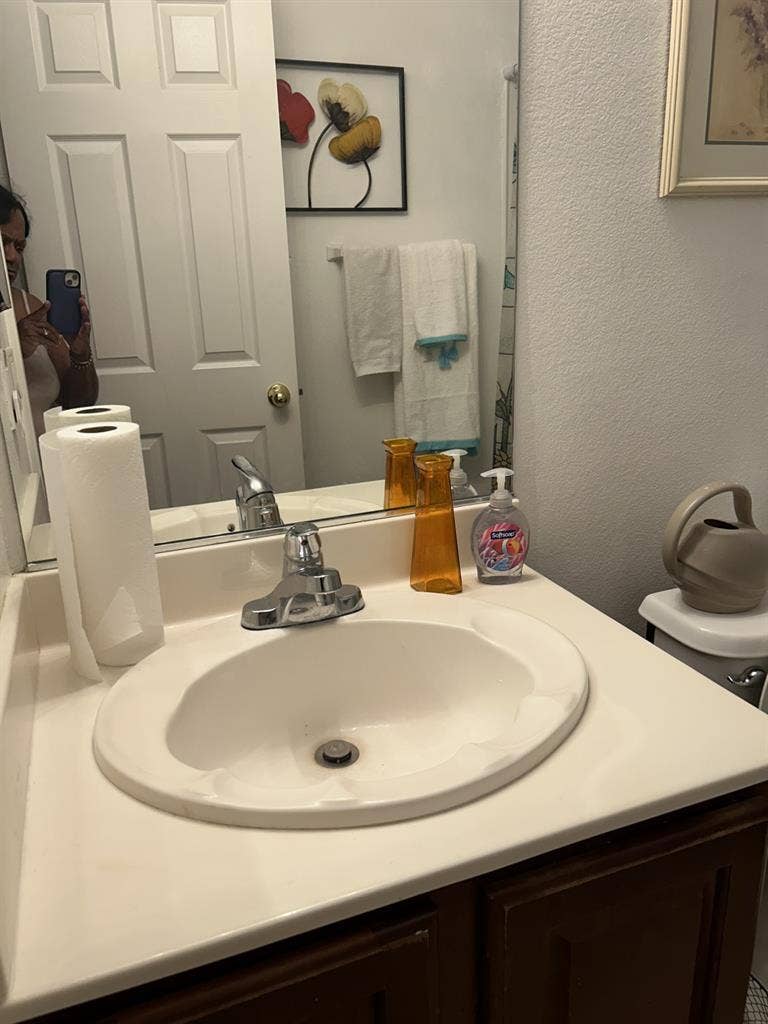 Pictures of the home
