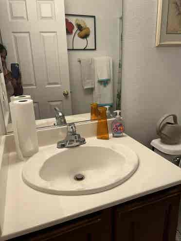 Pictures of the home
