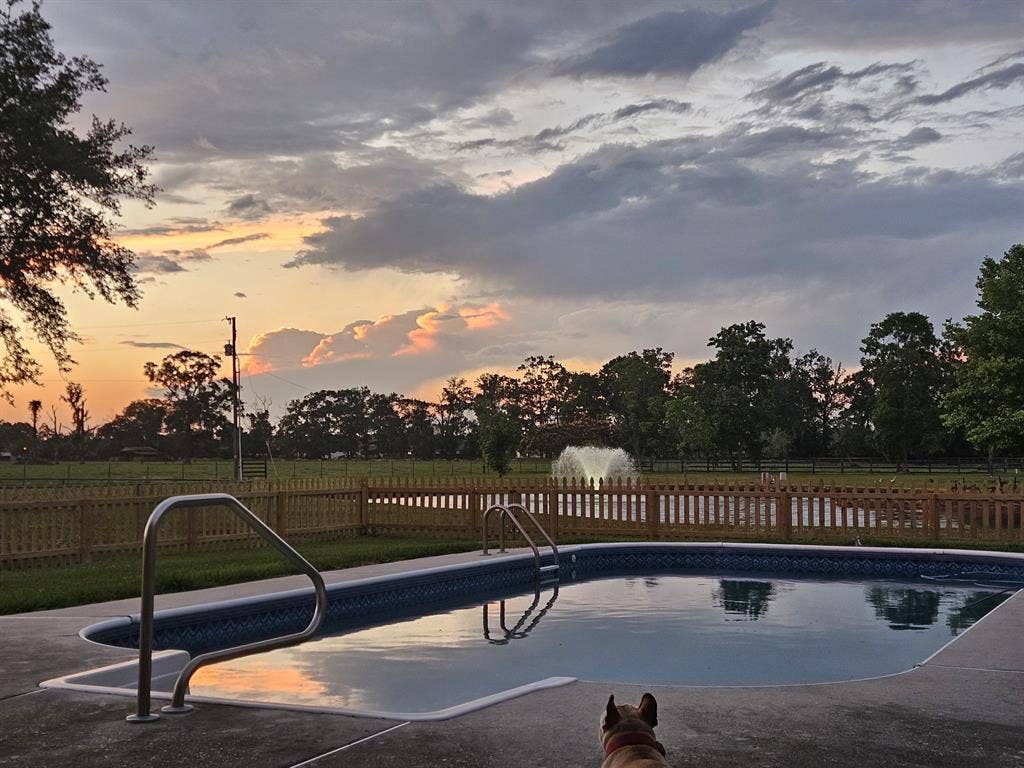 Room in Prairieville