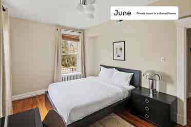 5 BR in Washington DC