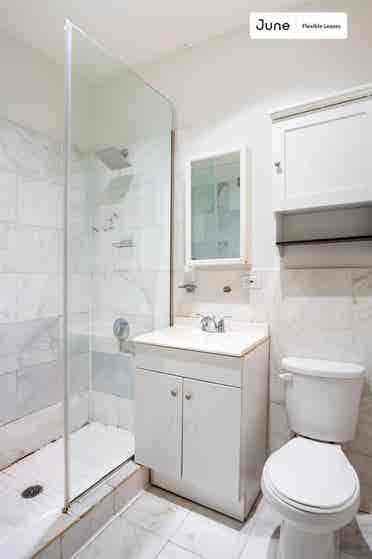 1 BR in New York City
