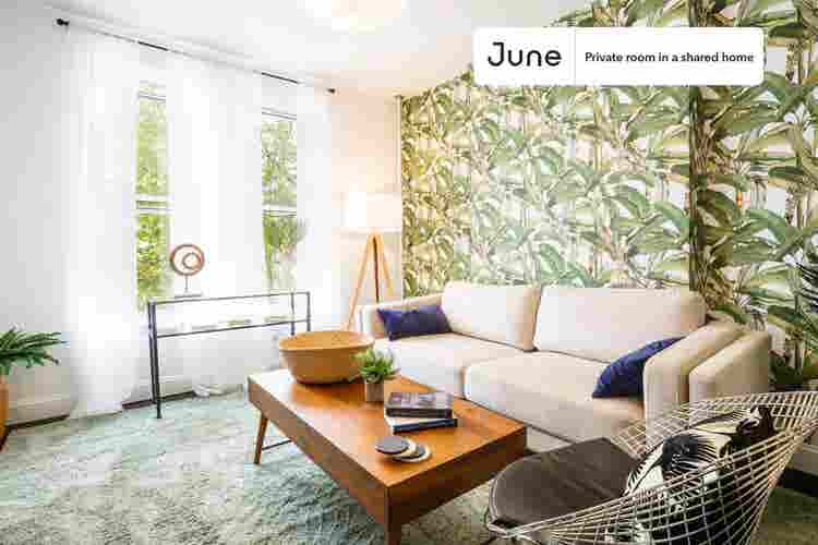 3 BR in New York City