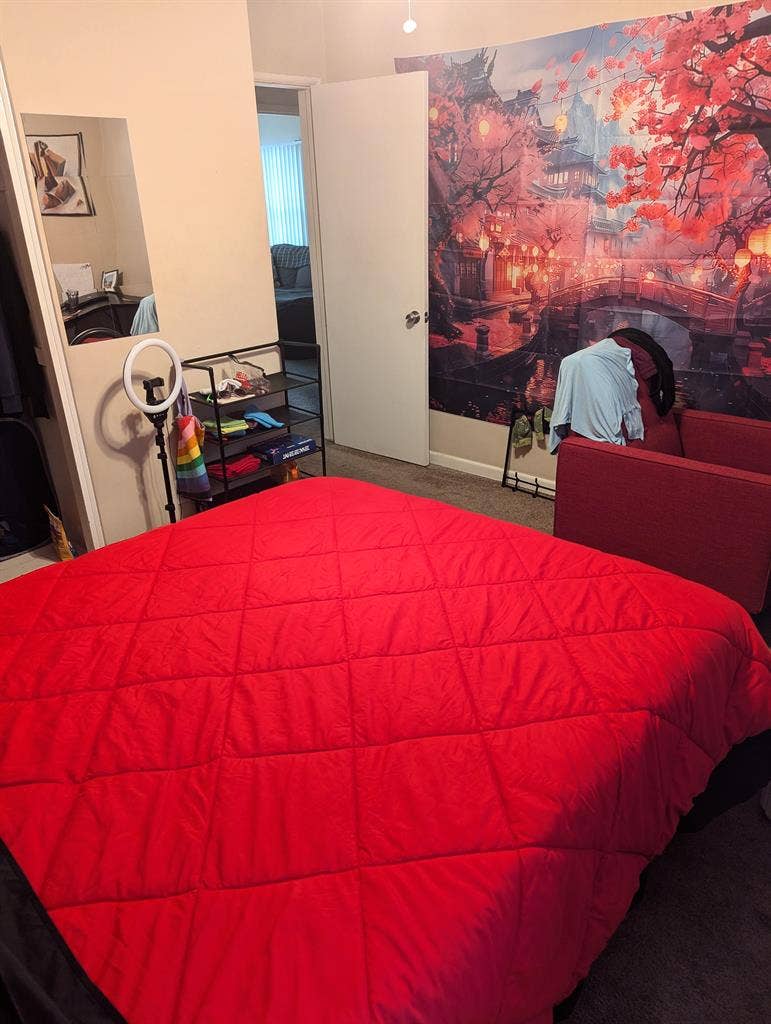 Seeking a new roommate!