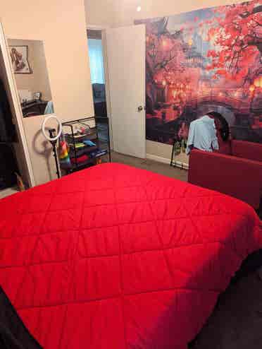 Seeking a new roommate!