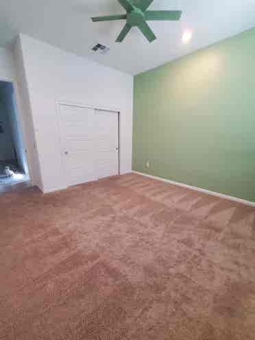Looking for roommate, gladden farms