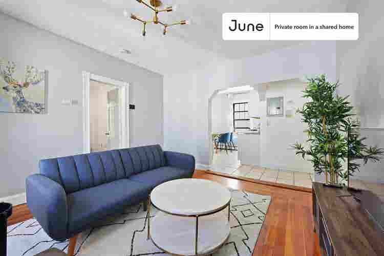 4 BR in Boston