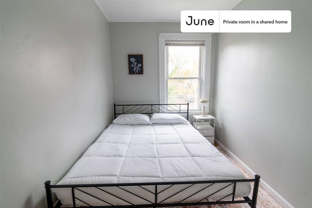 4 BR in Boston