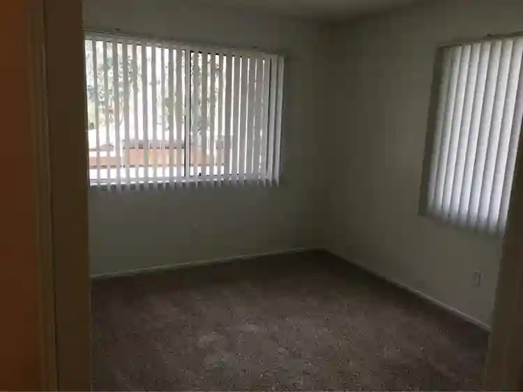 Workaholic, Searching for Roomie