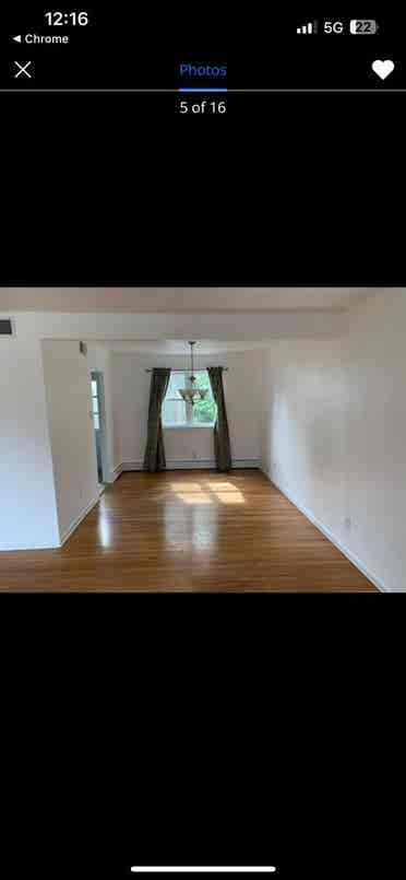 Looking for Female Roommate!