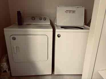 Shared (3) bedroom home $ mo