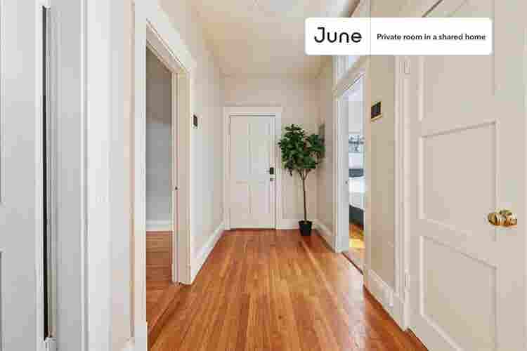 3 BR in Boston