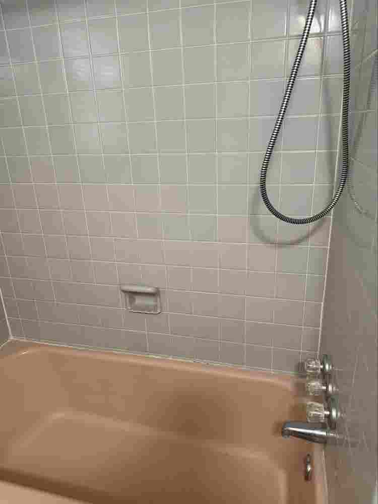 Apartment in Avondale, Jacksonville