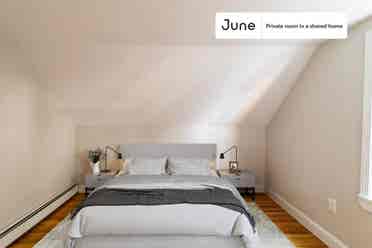 5 BR in Boston