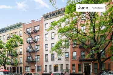 1 BR in New York City