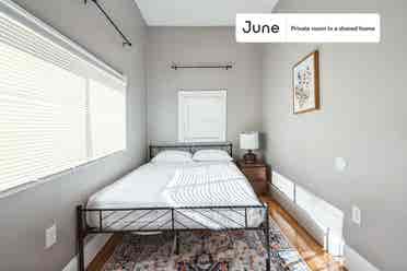 4 BR in Boston