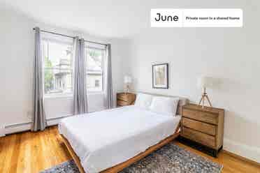 7 BR in Boston