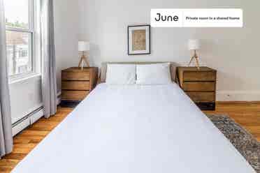7 BR in Boston