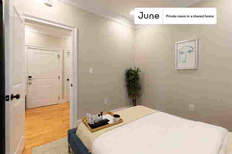 3 BR in Boston