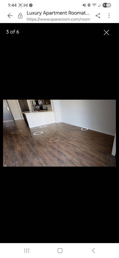 New Listing